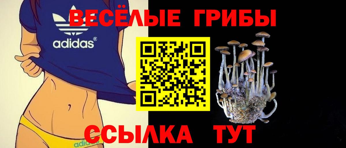 Псилоцибиновые грибы GOLDEN TEACHER  Галлюциногенные грибы GOLDEN TEACHER  Москва  Вход с VPN 